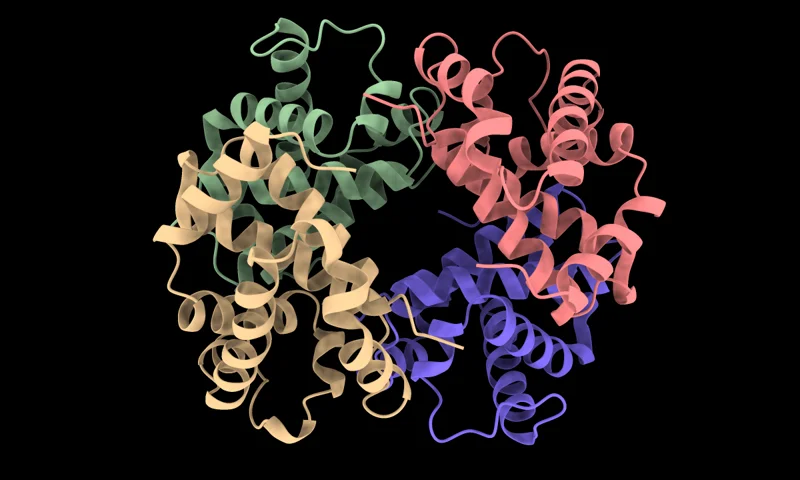 EnzBert E.C. Prediction